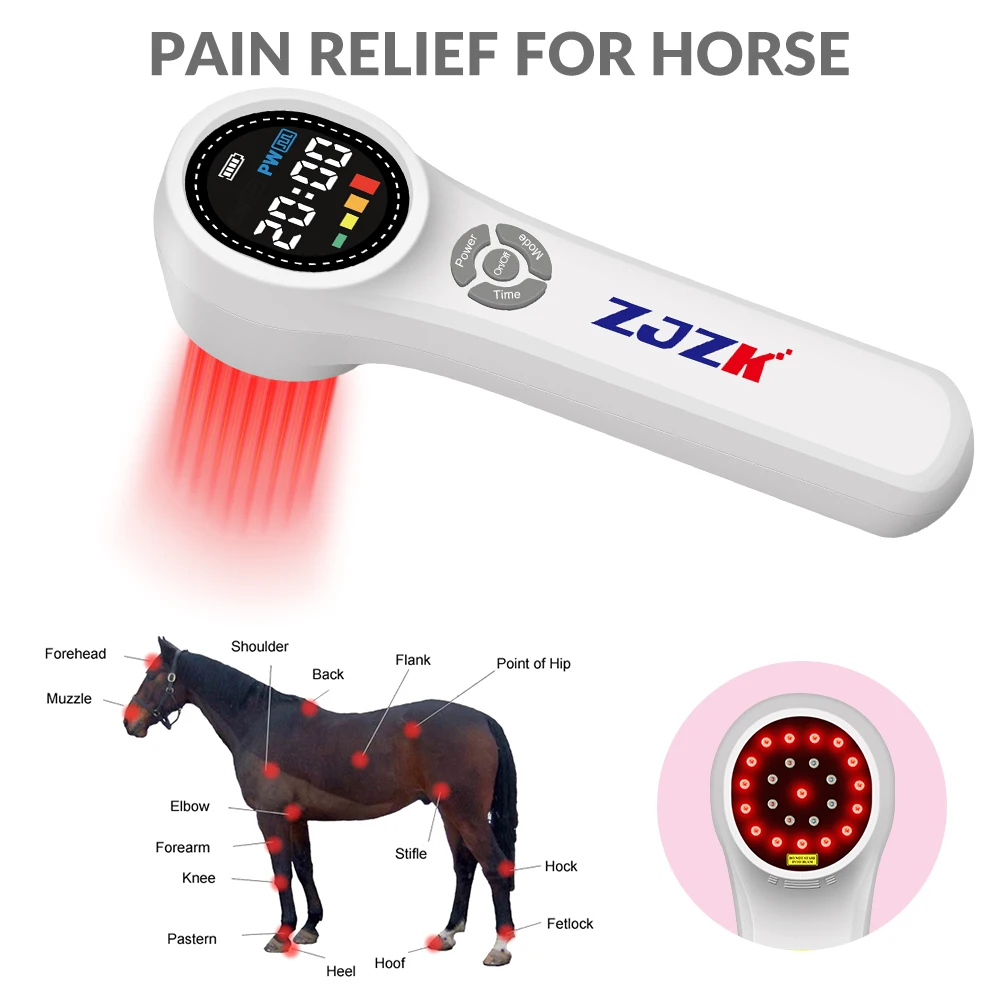 New Arrival 1760mW Back Pain Laser Equipment Relief Light Therapy for Horses Pain and Wound Healing 980nm 810nm With Fast Effect