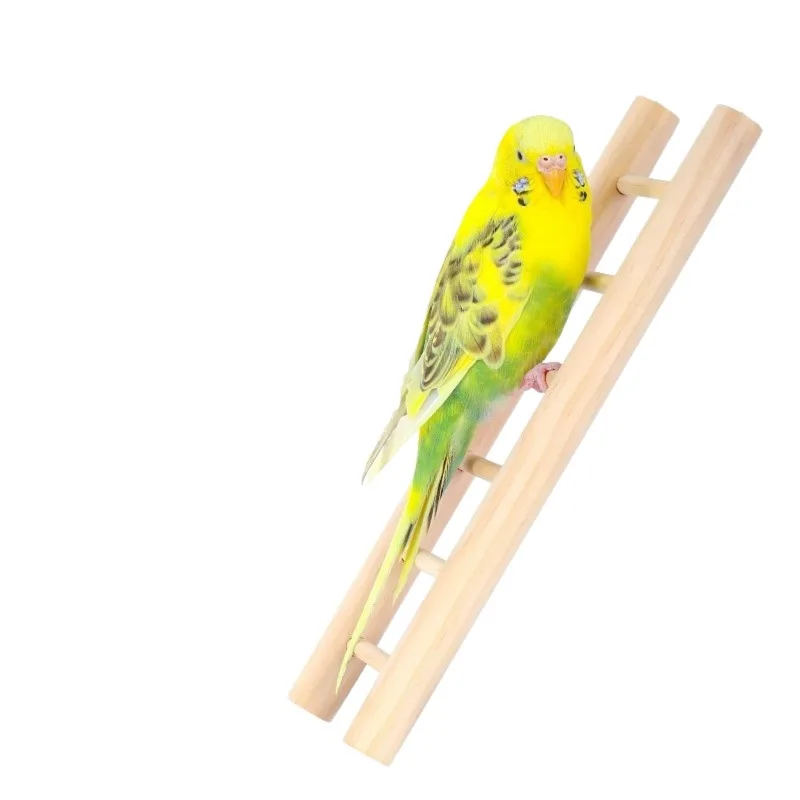 Thumbnail 4 - #27 Bird Cage Ladders Comparison Guide