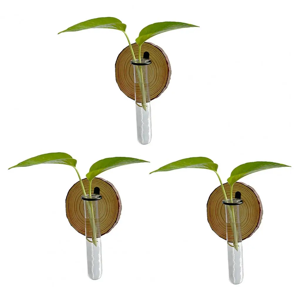 

Latex Paint Wall Vase 3 Pcs Wall-mounted Plant Terrarium Set Hanging Test Tube Planters Indoor Decorative Flower for Bathroom