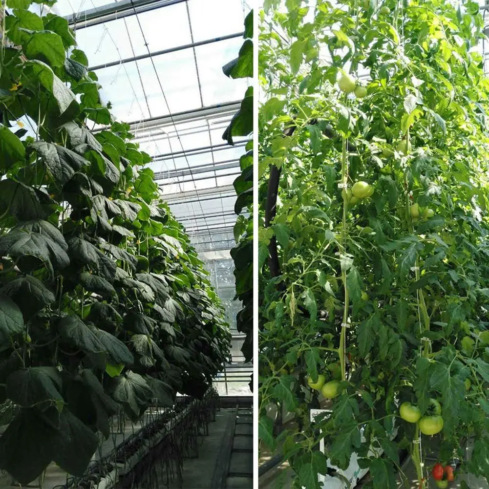 ABKL-Tomato Support Hooks With Tomato Clips, J Hooks,Vine Hooks To Prevent Tomatoes Pinching Or Falling Off With String Rope