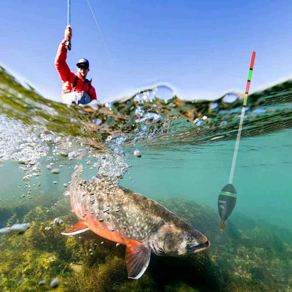 العوامة العمودية 15 جرام 20 جرام 25 جرام 30 جرام البحر الصيد معالجة البلسا الخشب الكارب معالجة خشبية الصيد يطفو المهنية صيد السمك أداة