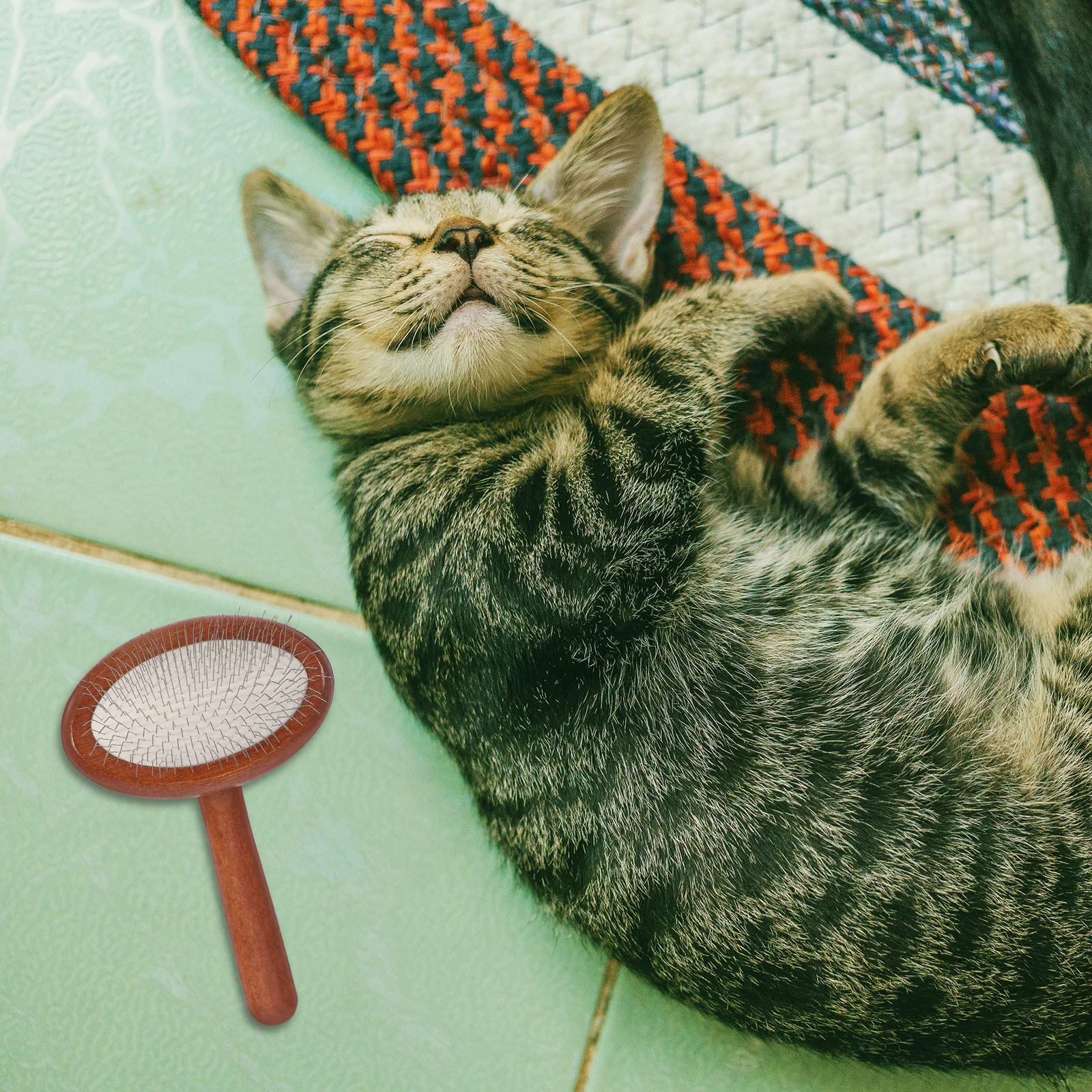 

Durable Beech Wood Dog Comb Teeth for Various Breeds Grooming Sessions Shiny Finish Pet Hair Remover