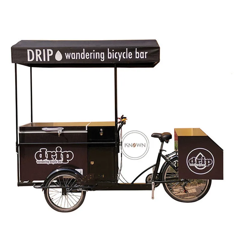 3 Wheel Electric Bike 250w Cargo Adult Tricycle Food Cart Refrigerator Ice Cream Food Bike with Customized Black Logo for Sale