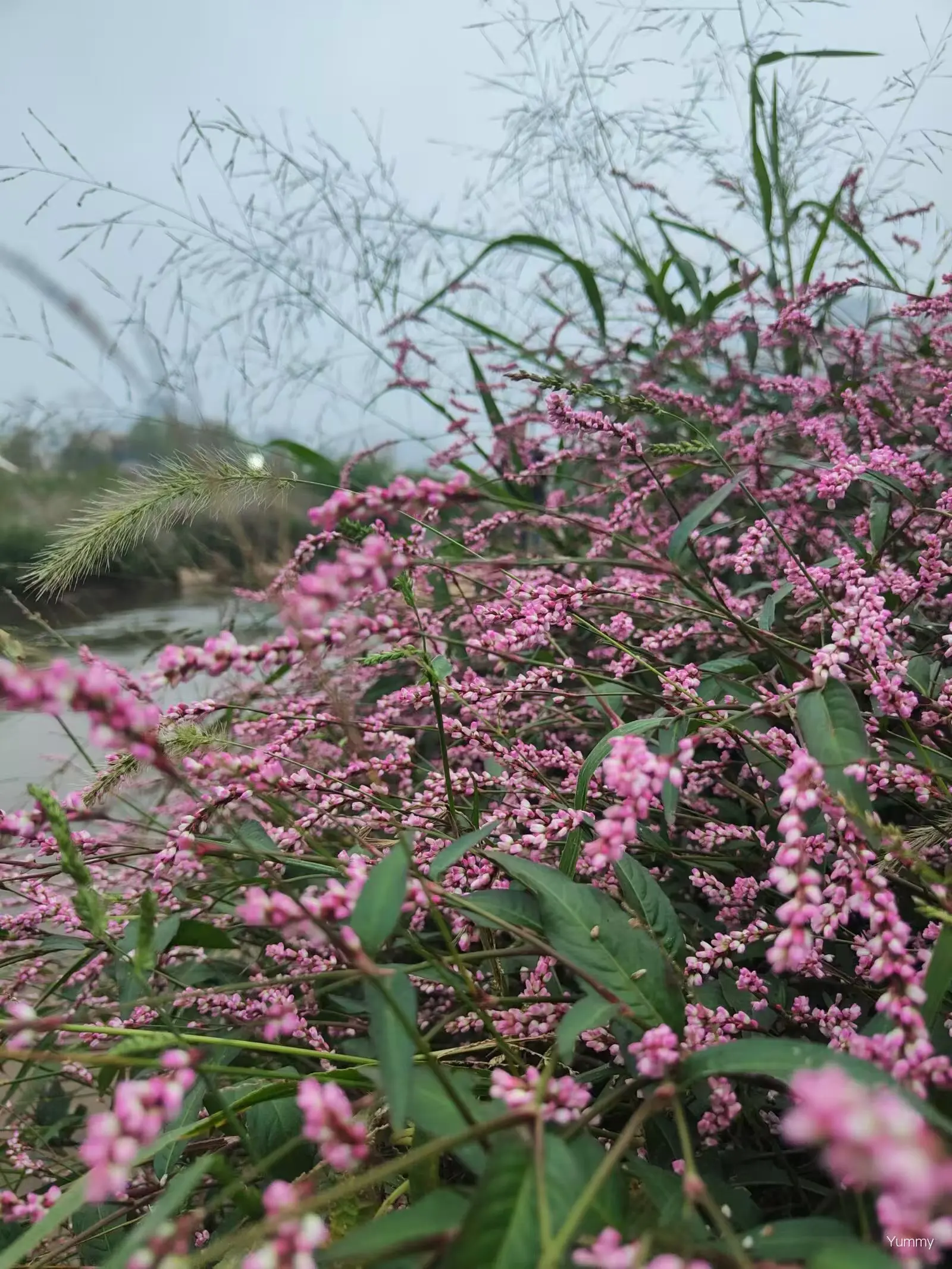 Prodotti designati con Amy (+86 18807477625)