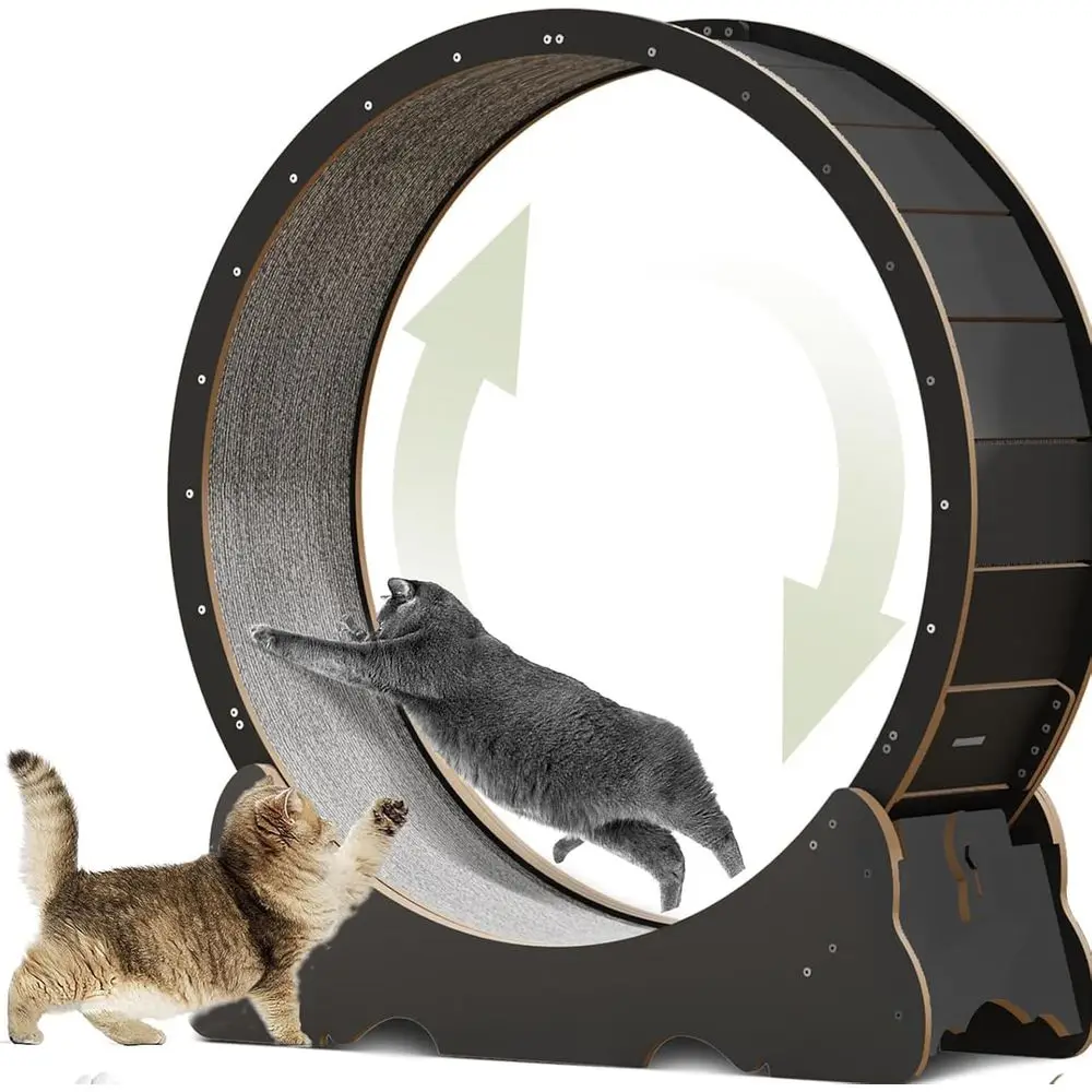 

Экологичное колесо для кошек из березового дерева - XL, широкая дорожка для фитнеса домашних кошек