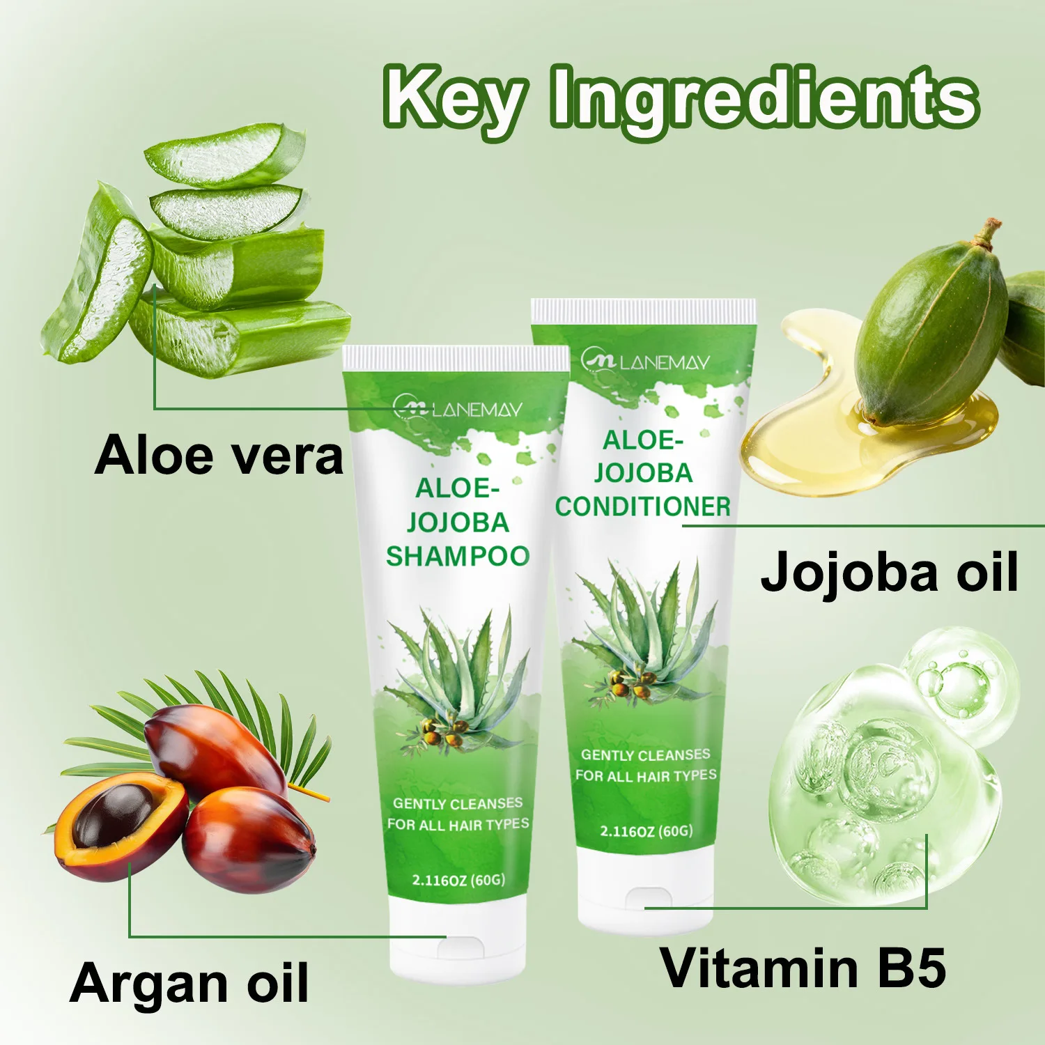 2PCS Lanemay Aloe-Jojoba Shampoo & Conditioner Set Tubes, Gently Cleanses for All Hair Types, Oil Control & Strengthen Hair