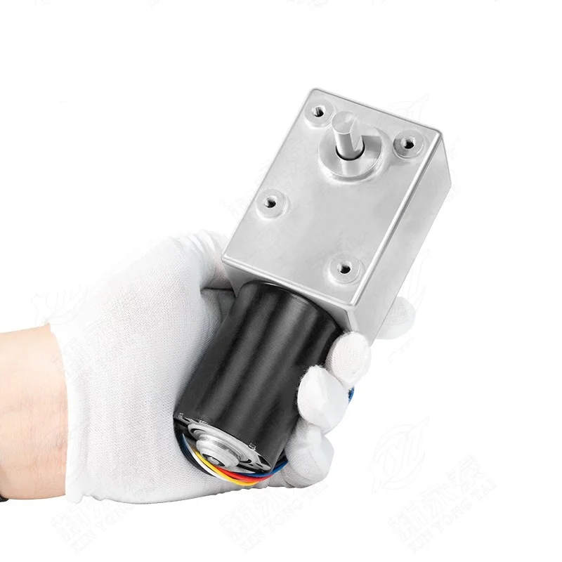 5882-4260 DC brushless reduction motor with worm gear Single/Dual Shaft self-locking 12V 24V metal teeth low-speed motor