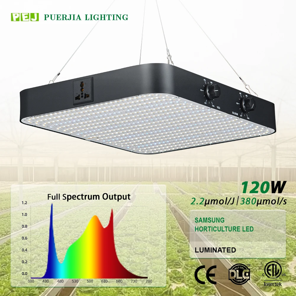 

Intelligent Library New Design LED Grow Light COB Chip IP65 Rating Full Spectrum Aluminum For Indoor Plant Growing Bloom