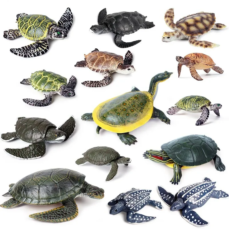 Simulation Marine Animals Ornaments Turtles Eared Slider Tortoise Amphibians Animal Model Children Science Education Tools Toys