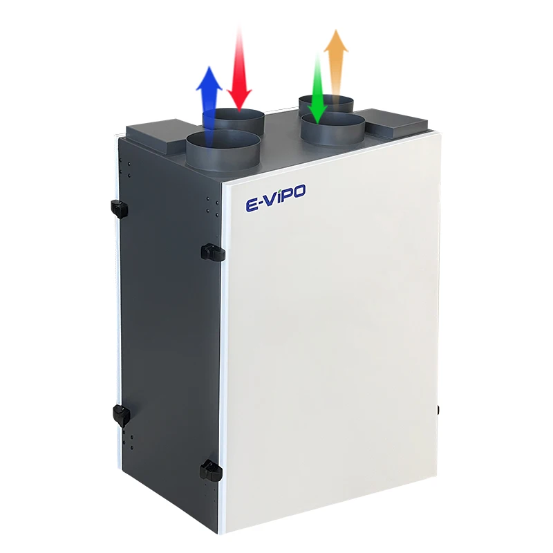 Evipo Erv Recuperat…