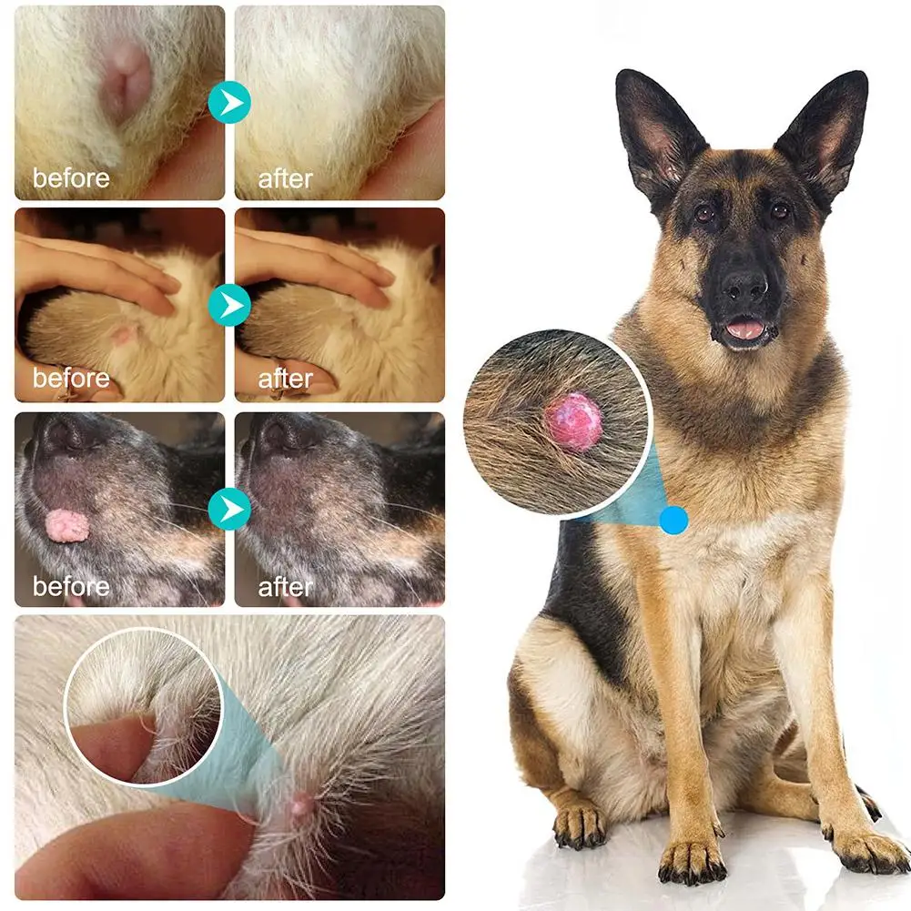 20ml Pet Warts Remover Liquid Dogs Skin Care Removal Cats Skin Treatments Moles Corns Papilloma Pet Against Liquid Care Clean