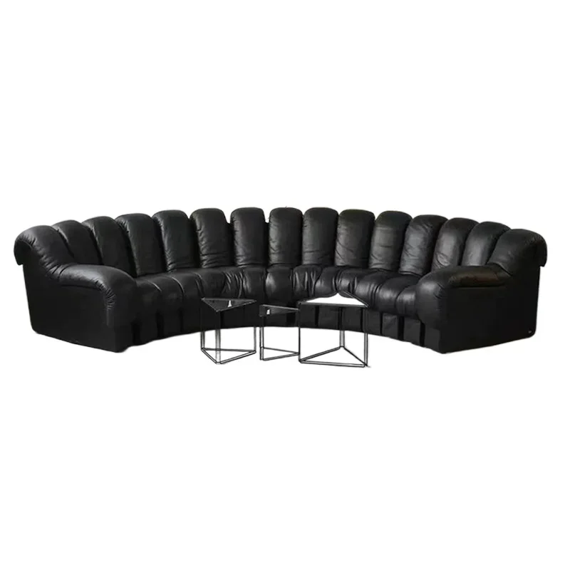 Serpentine sofa villa living room module self-assembly