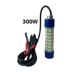 300W DC12V battery t Fishing light attractor led aquarium fishing ligh