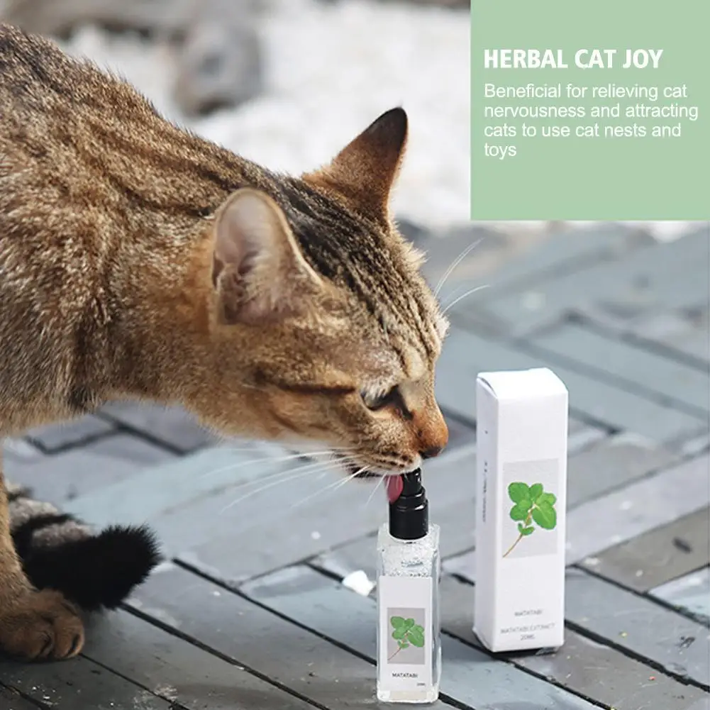 1pc/3pcsHerbal Cat Joy Celery Pets Safe Long-term Effect Catnip Spray For CatKittens Inducer Cat Pet Training Toys For Cats Gift