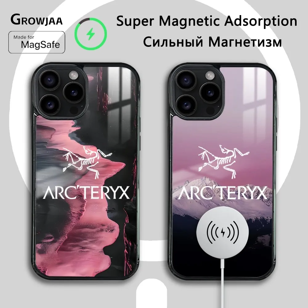 

Arc Skull Bird Phone Case For iPhone 16 15 14 13 12 11 Pro Max Plus Mini New Magsafe Mirror Wireless Magnetic Cover