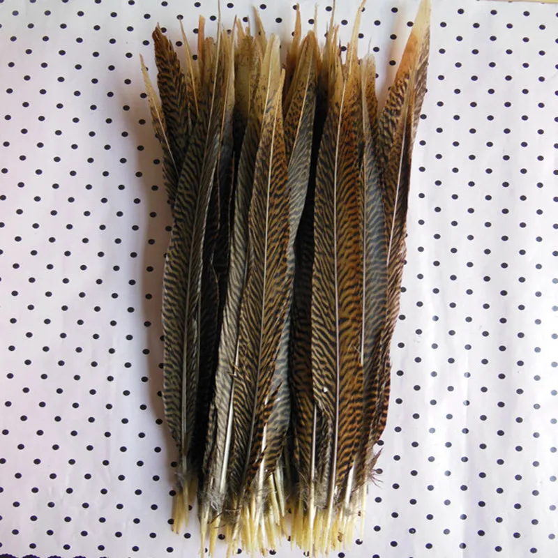 10 PCS natural decorative golden pheasant tail feathers 20-22 inches / 50 to 55 cm feather decoration wholesale