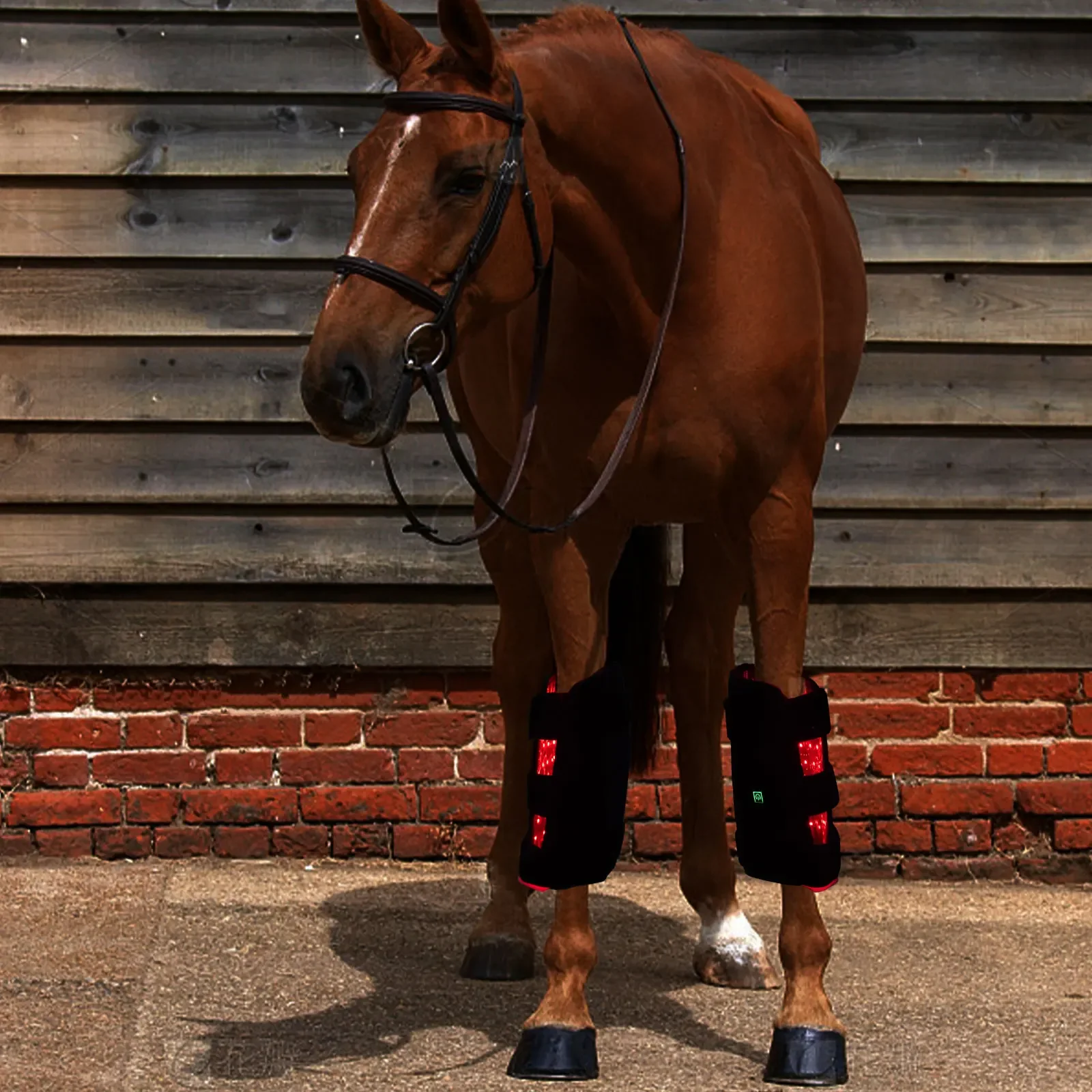 Wholesale factory price hot therapy horse boots led light therapy massage for horses