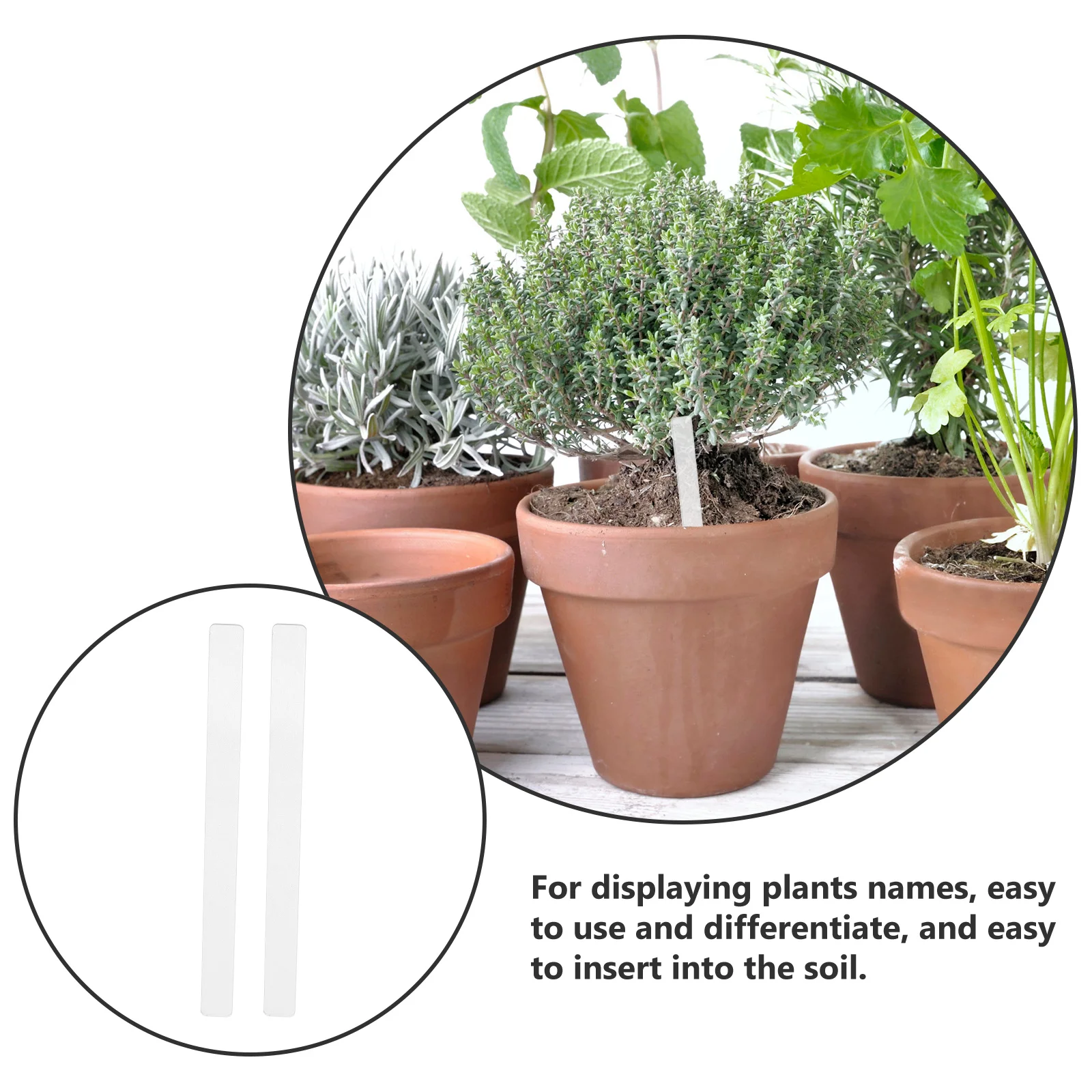 

48pcs Acrylic Plant Label Tags Succulent Flower Garden Markers Vegetable Category Crafts Lightweight Portable Easy Insert Soil
