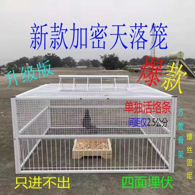 

Extra Large Pigeon Cage Jumps Into The Imported Cage for Household Use, Only in And Out of The Special Flexible Door forBreeding