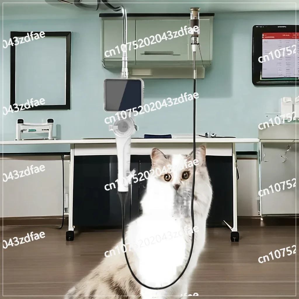 Equipment - Hospital and Veterinary Anesthesia Friendly Flexible Endoscope for Ear, Nose, and Throat