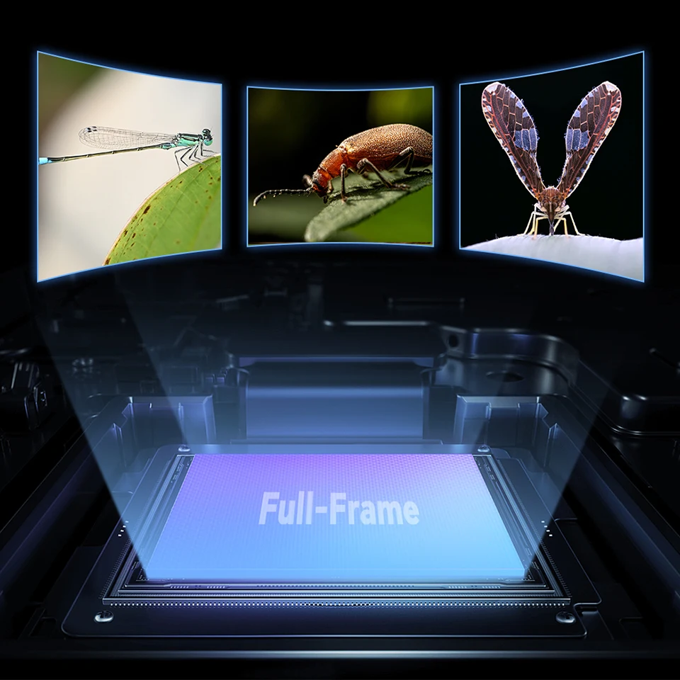 Lente Macro de fotograma completo de 7artisans MF 60mm F2.8 Macro 2x lente para fotografía Macro con Sony A7III Nikon Z50 Canon R5