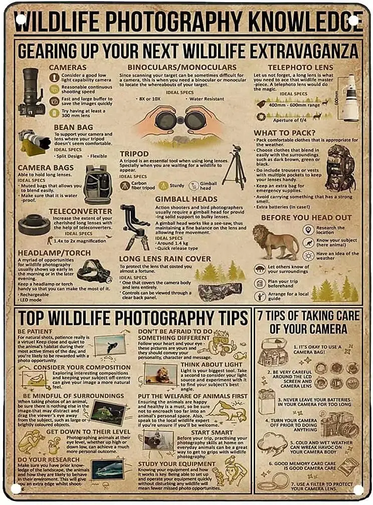 Pancarte en métal avec impression rétro sur le thème de la photographie de la faune, idéale pour préparer votre prochain événement sur la faune, ou comme panneau pour club scolaire