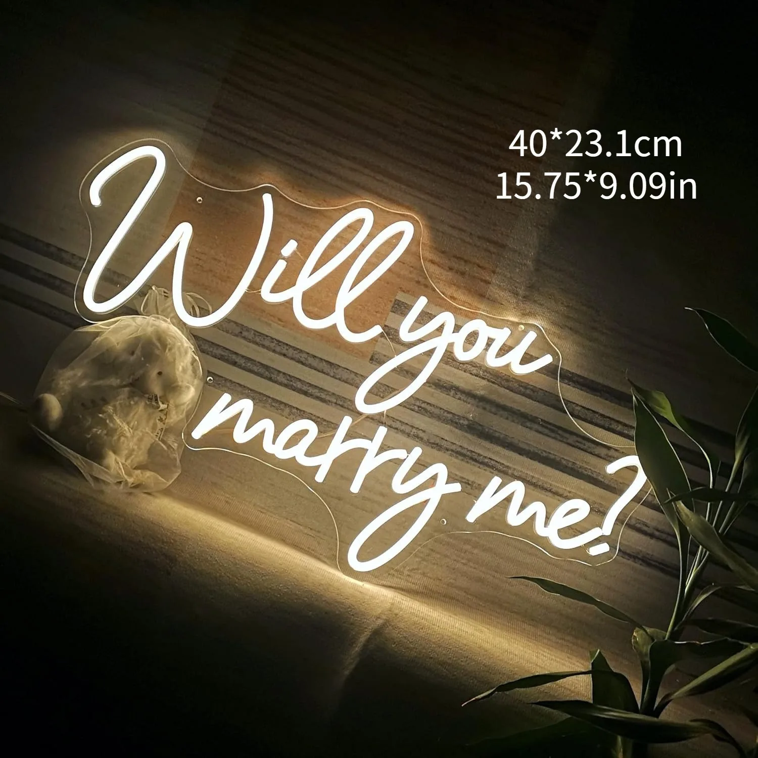 Will You Marry Me? Neon Sign Dimmable Night Light Romantic Proposal Wedding Decor USB Powered Engagement Party Perfect for You