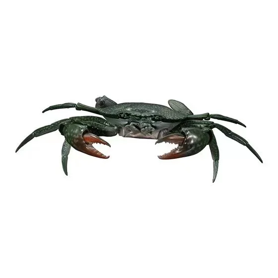 

Scale Model Simulated Animal Model Joint Mobility Crab Cognitive Model Toy Action Figure Toys