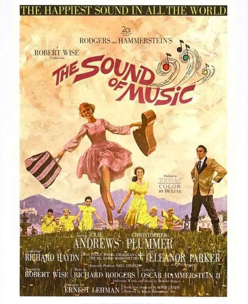Pioujw-Tin Sign Retro Sound Music Movie Tin Poster, Vintage Metal Bar Club Wall Art Decoration es