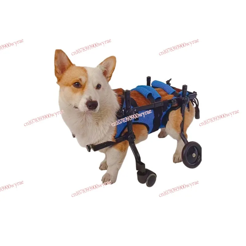 Dog wheelchair pet hind limb disability paralysis rehabilitation wheelchair animal assistive bracket