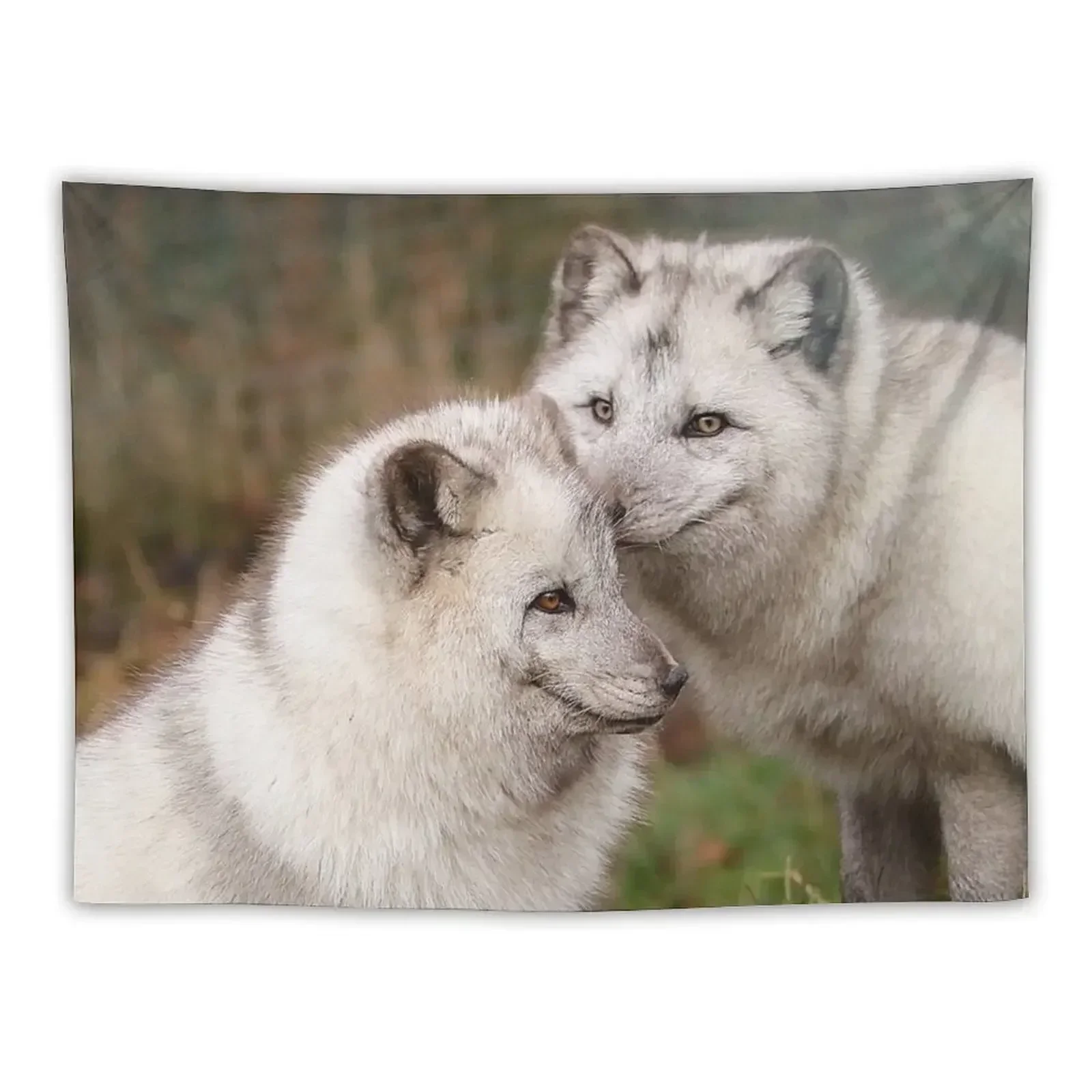 

Arctic Fox Cuddle Tapestry Decor Home Decoration Wall Wall Decor Hanging Tapestry