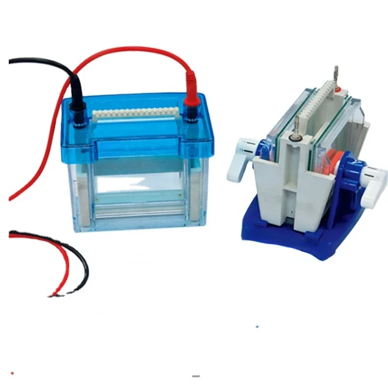 Vertical gel electrophoresis system with electrophoresis power supply