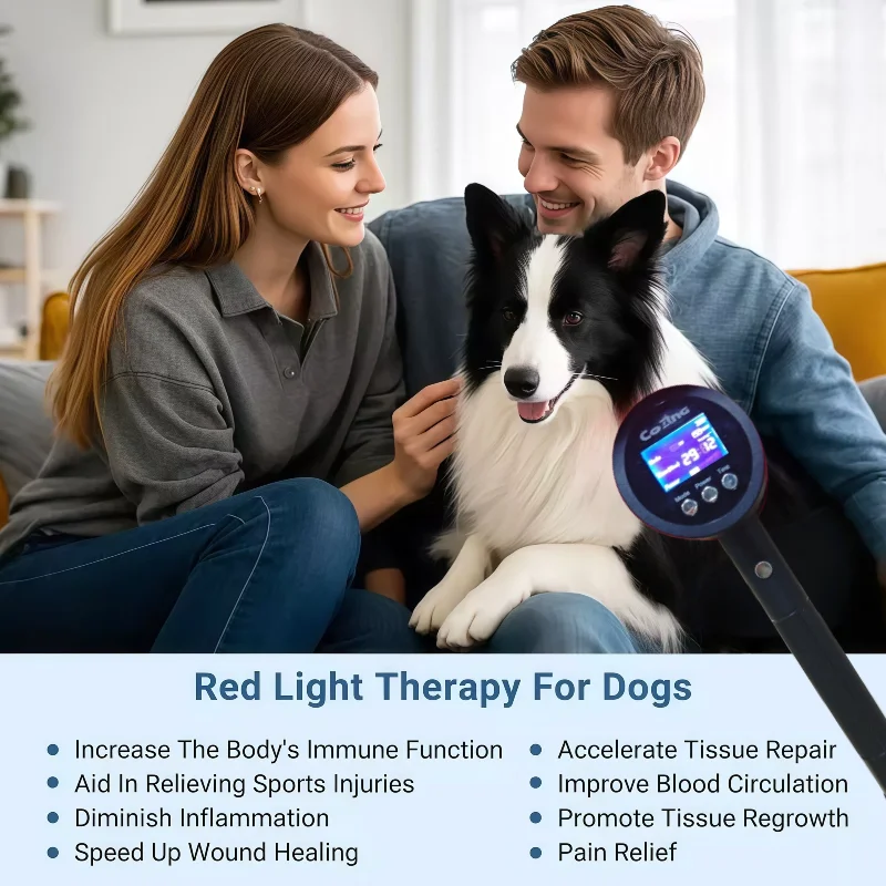 Red Light Therapy Cold Laser Device 650nmX19Diodes+808nmX6Diode, Laser Physiotherapy for Shoulder Bursitis Dysmenorrhea Treatmen