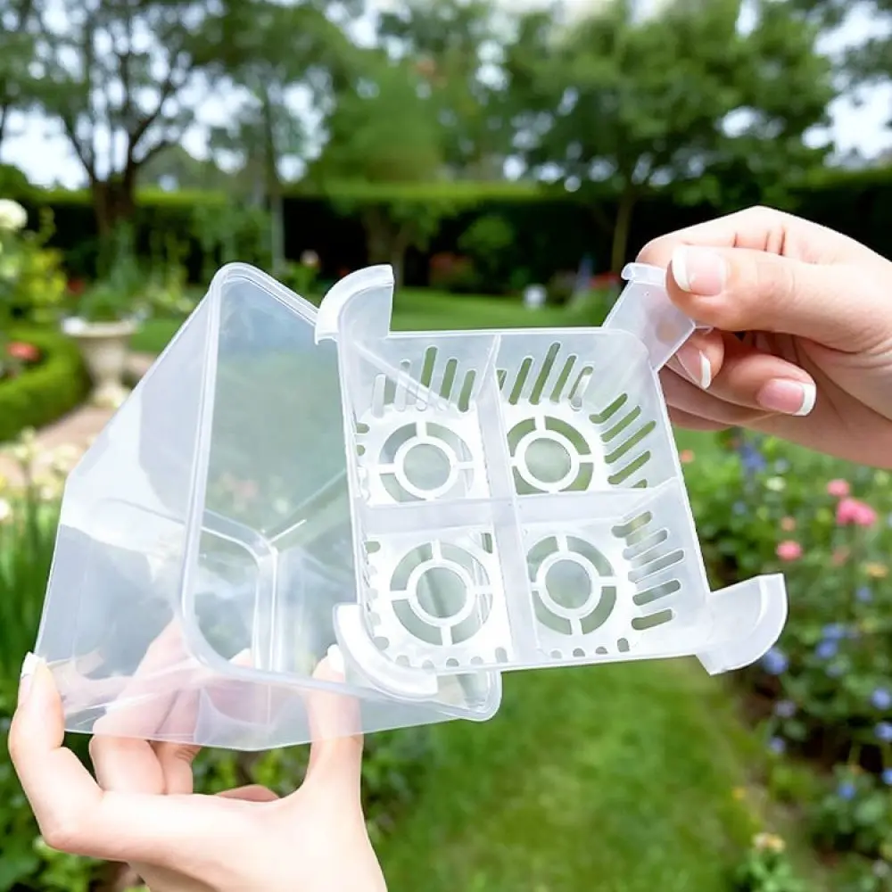 Bulb Flower Hydroponic Pot Transparent Vase For Tulip Lily With Planting Basket Stable Indoor Garden Plant Holder