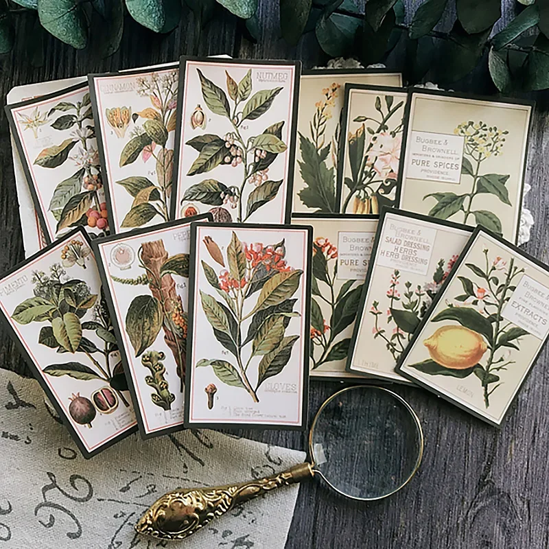 12Pcs Plant Drawing Vintage Stickers Junk Journal Ephemera Flower Leaf Craft Aesthetic Stickers DIY Album Scrapbooking Material