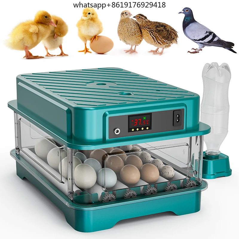 Inkubator Telur Otomatis Daya Ganda 24 Telur untuk Menetaskan Ayam, Bebek, Puyuh, Dijual