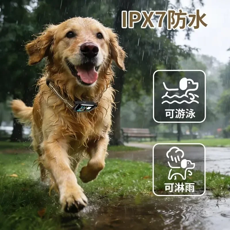Electric Dog Training Collar Digital 1000m Remote Control Shock Vibrator IPX7 Waterproof Pet Dog Bark Control Stop Collar view 6