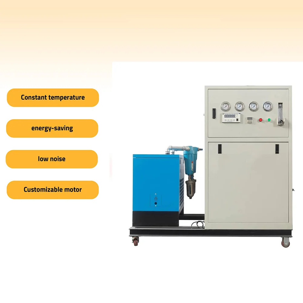 Small Nitrogen Generator 10Nm3/h Nitrogen Machine High Purity 99.99% Nitrogen Generator Price for Food Packaging