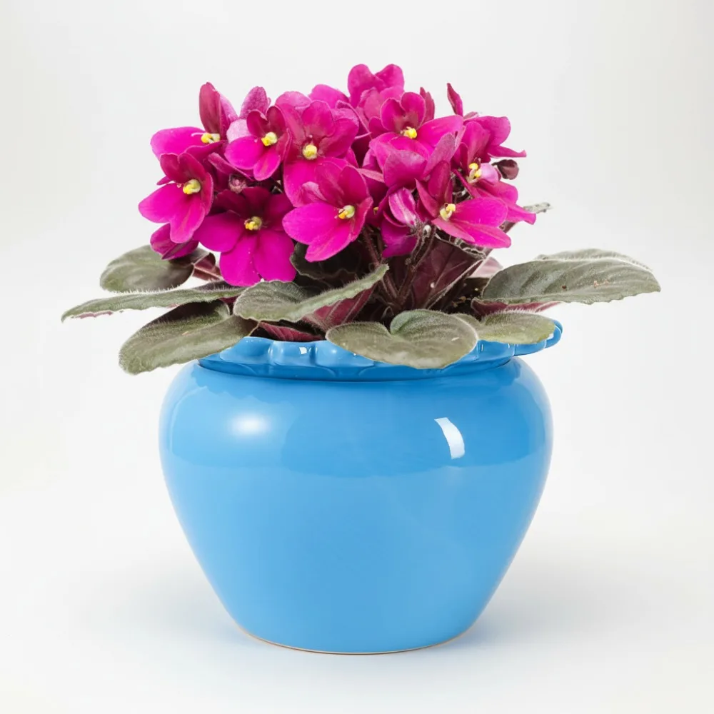

8-дюймовый самополивающийся керамический цветочный горшок с впитывающим внутренним горшком для африканских фиалков, орхидей, декор для газона и двора