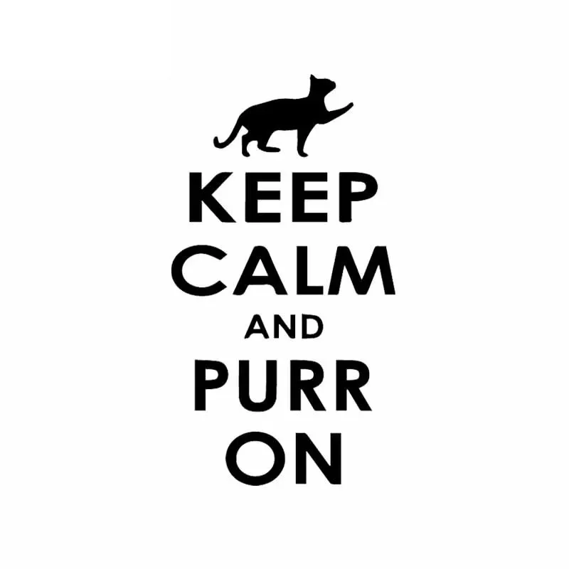 

Cute kitten keep calm and interesting high quality car decoration pvc window waterproof sticker black/white, 16cm * 9cm