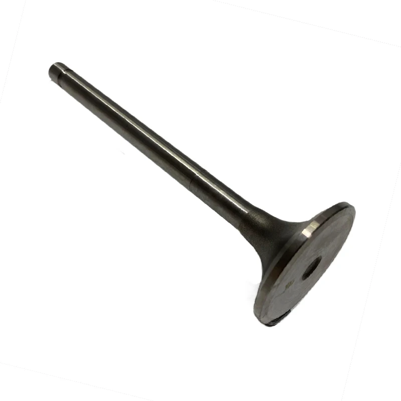 Generator Marine Oil and Gas Field Engine Parts Engine Parts Intake Valve Assembly