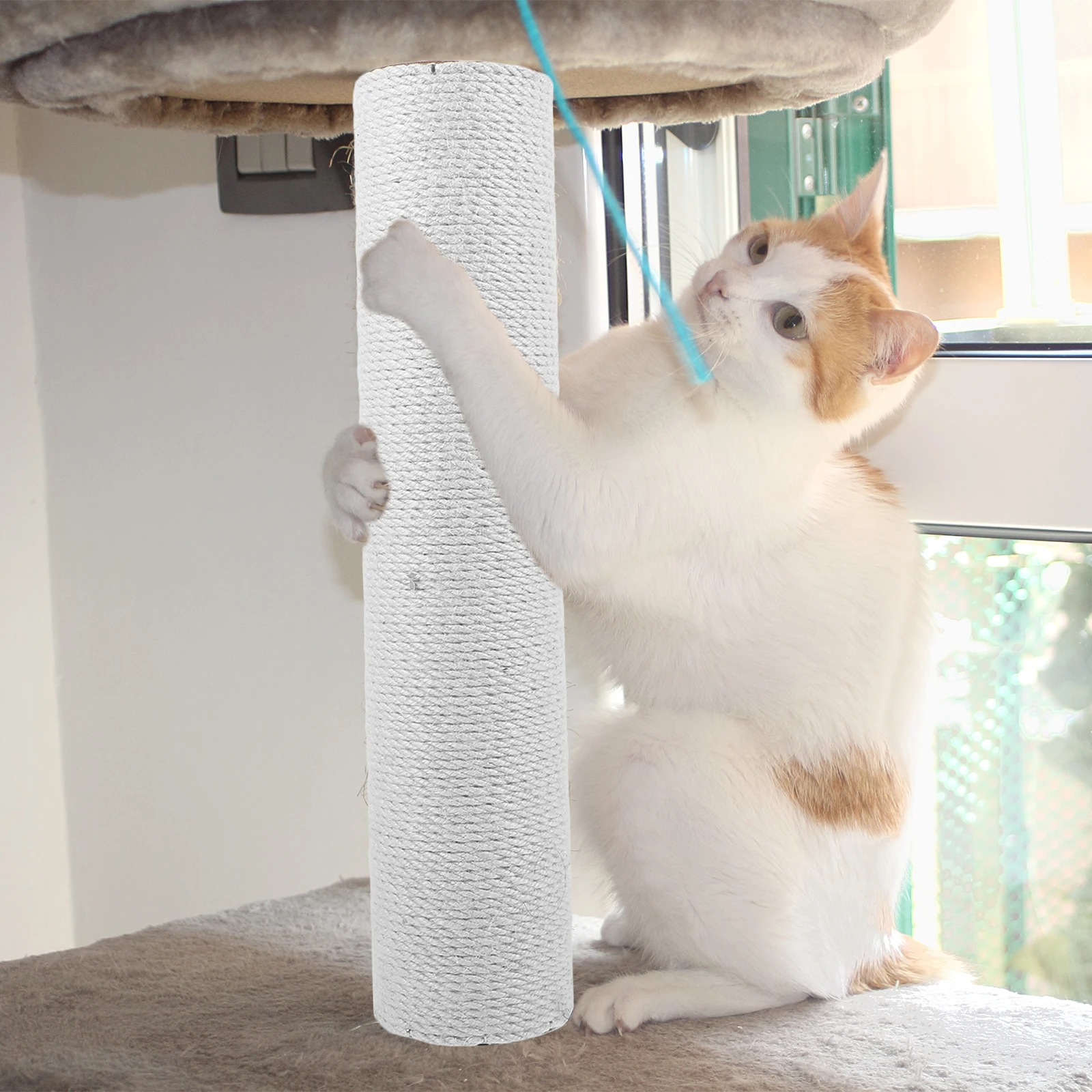 

Cat Scratching Post Posts for Indoor Cats Scratcher Replaceable Replacement Rope Scratchers Pole