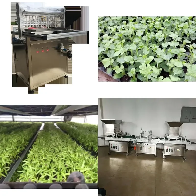 Automatic Hole Plate Seedling Machine Agricultural 0.3-12 mm Seed Sowing Device for Farming Planting Tool