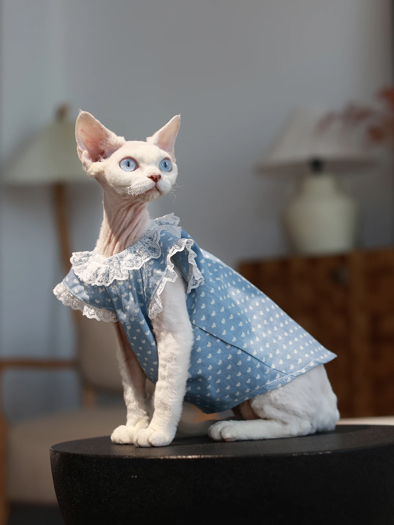 Soft Cotton Polka Dot Dress for Sphynx Cat Sleeveless Blue Skirt for Female Cats Sweet Princess Vest For Devon Rex Cat Supplies