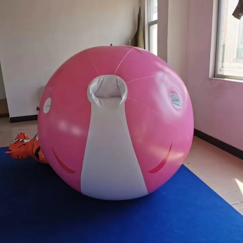 

Customized high-quality adult pink inflatable blueberry ball set for sale