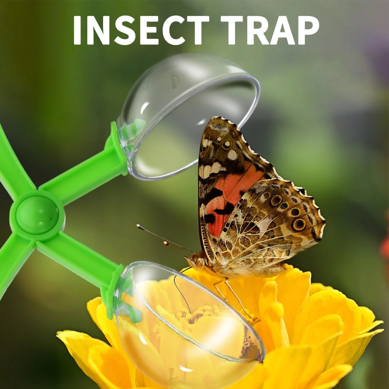 Insect Trap Catcher Bug Clamp Tongs Plastic Transparent Ball Outdoor Nature Exploration Tool For Butterfly Beetle Observation