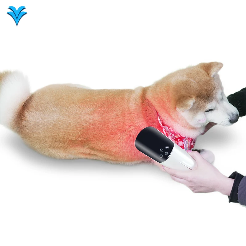 

Handheld LED Light Therapy Instrument for Pet Veterinary Disinfection Equipment