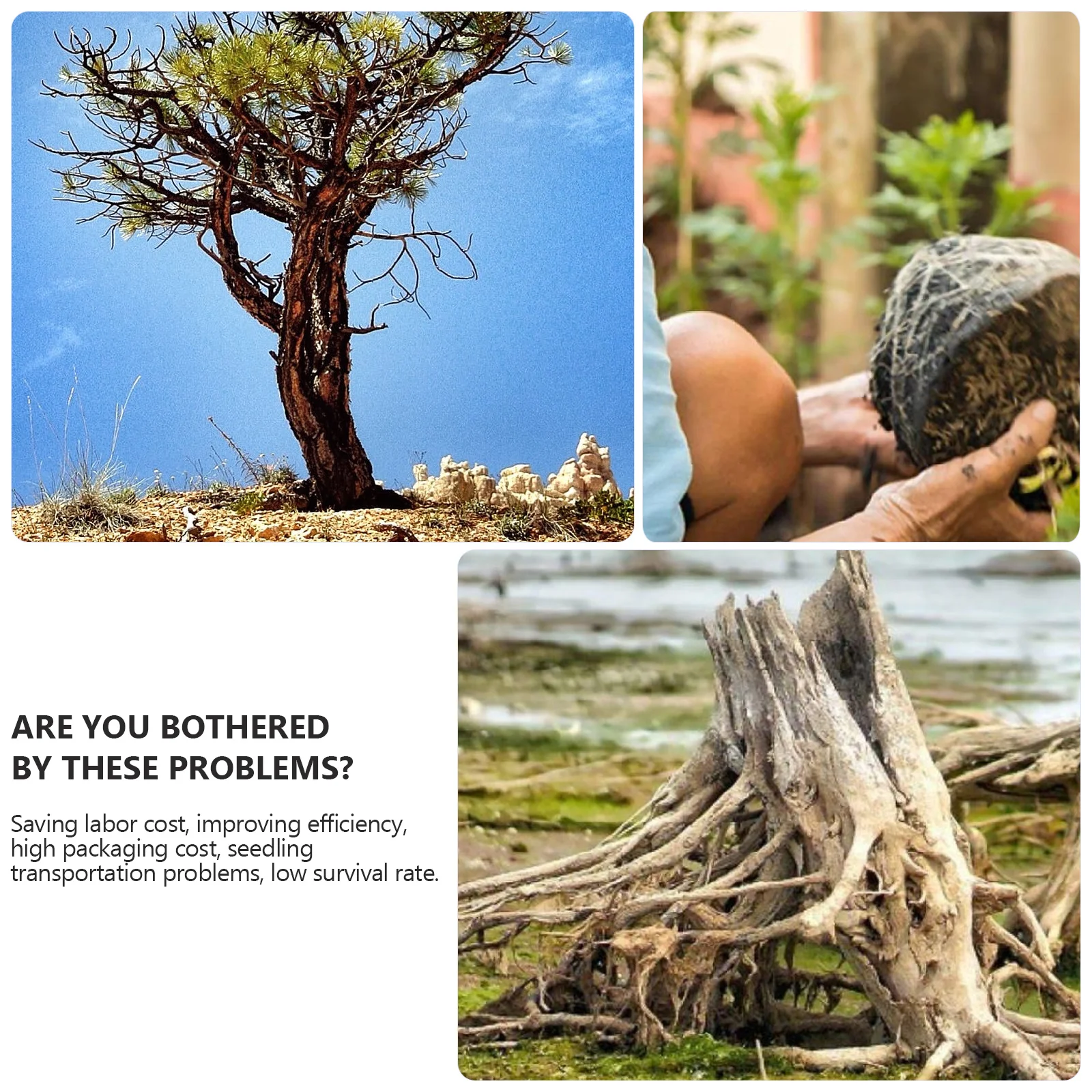 

6pcs Planting Bags 5 Gallon Square Fabric Pots For Vegetable Herb Garden Reusable Growth Bag With Drainage Aeration