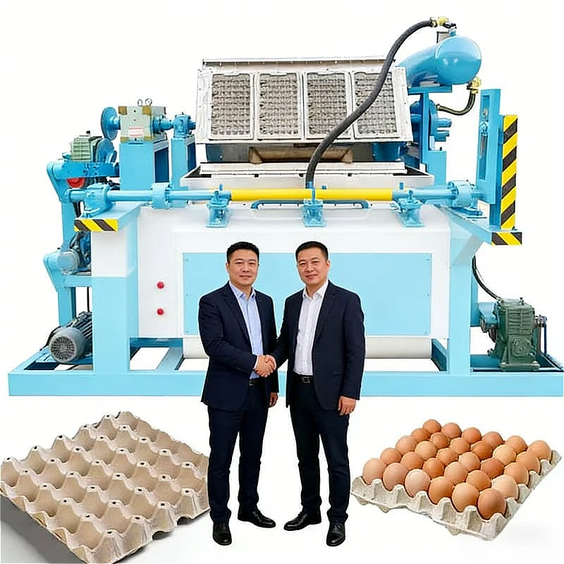 Paper Egg Tray Production System Pulp Molding Machine Egg Carton Making Equipment Waste Paper Recycling Industrial Use Custom