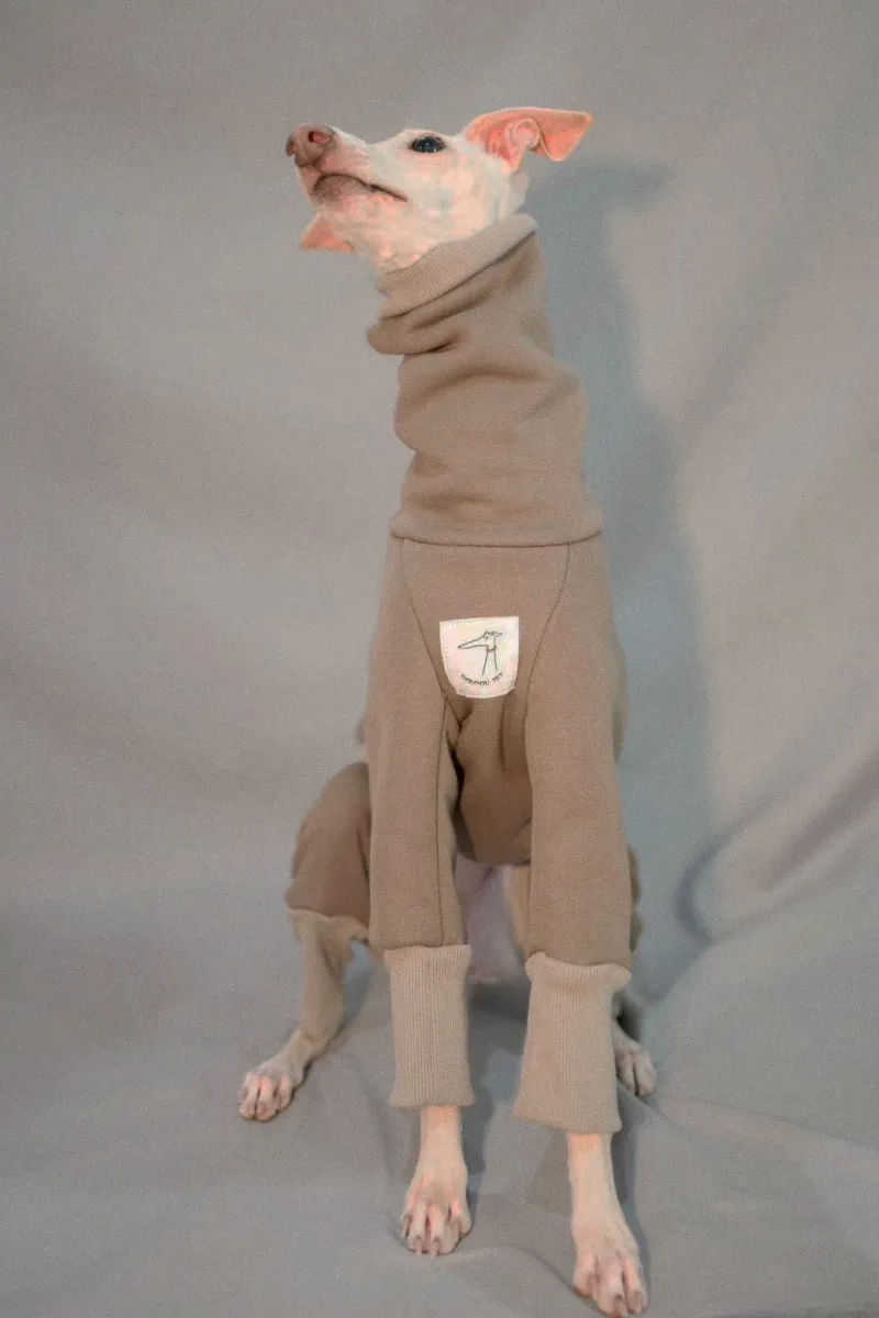 Gray puppy onesie high collar whippet sweatshirt Italian greyhound velvet warm coat